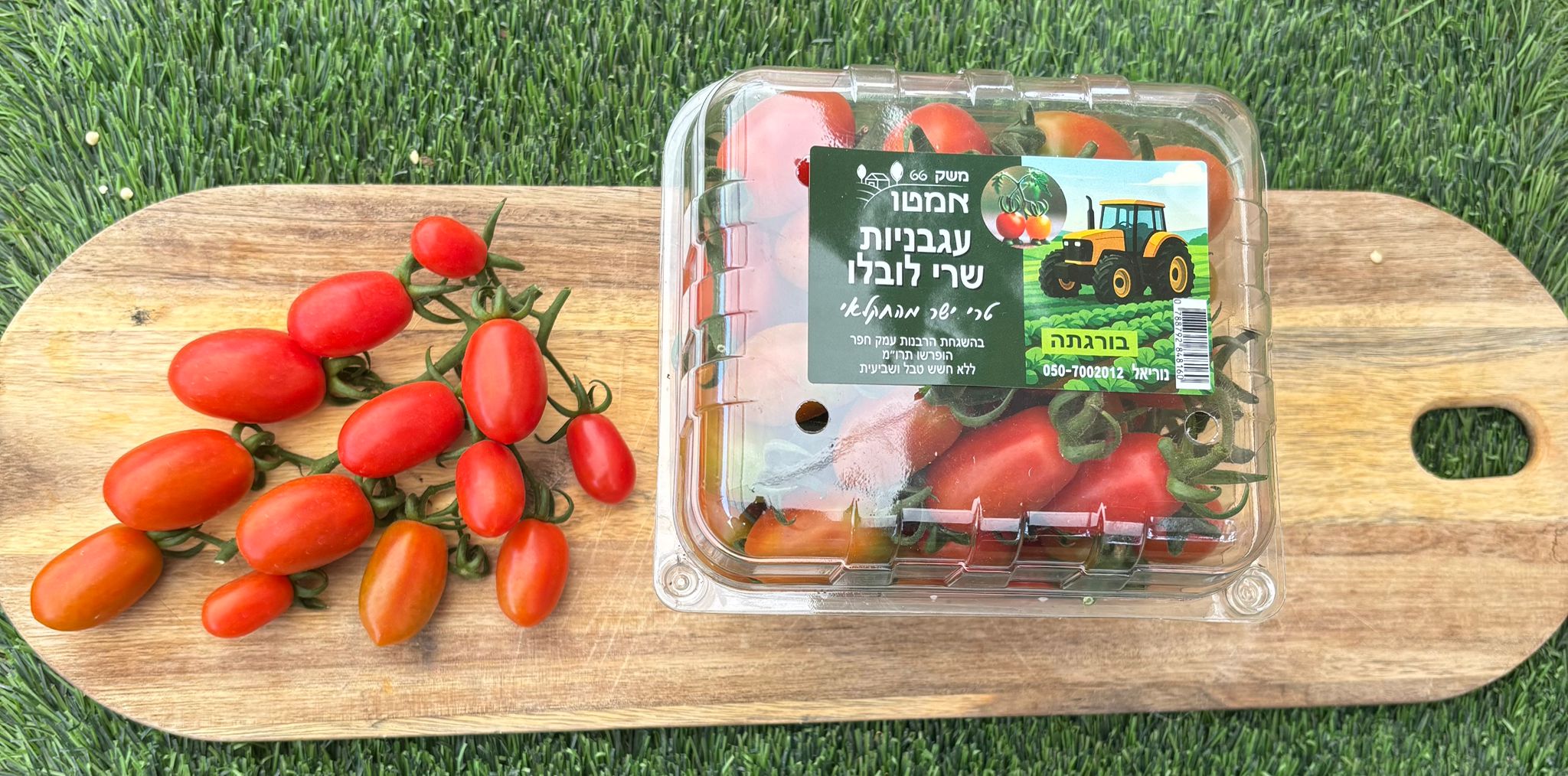 עגבניות שרי